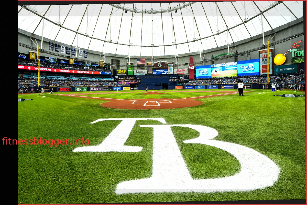 Новый стейк Томагавк в меню Tampa Bay Rays к плей-офф MLB 2026